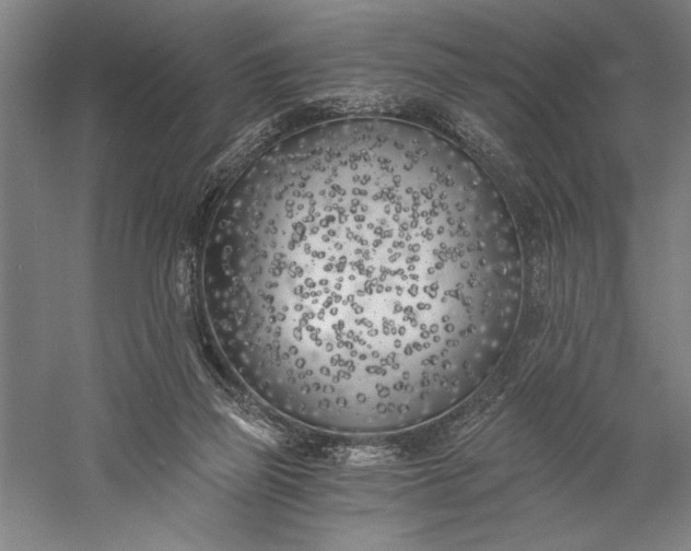 X0000056360165200509091632