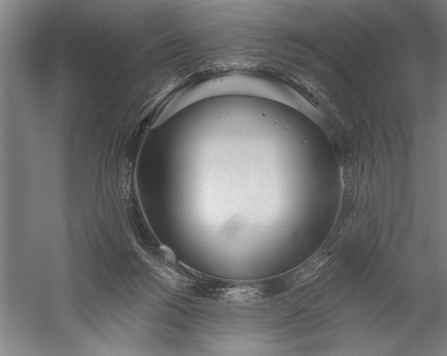 X0000056360168200509091632