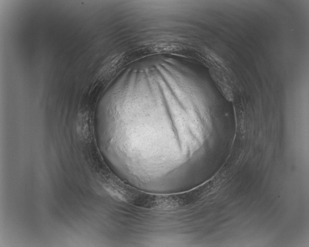 X0000056360169200509091632