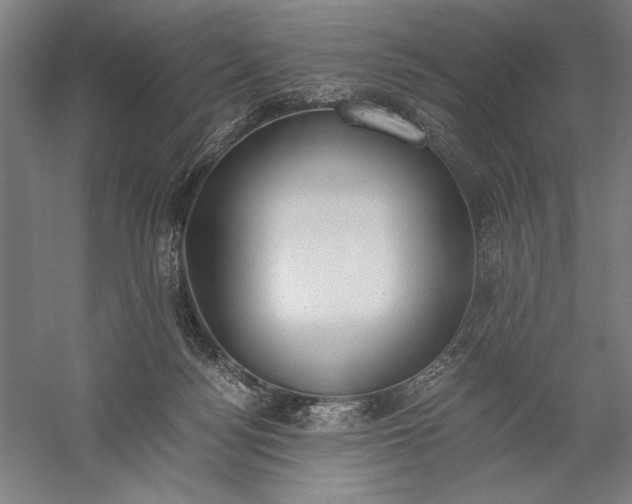 X0000056360172200509091632