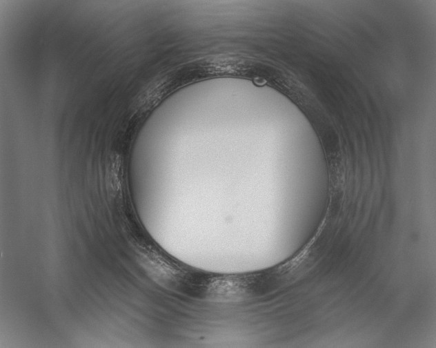 X0000056360174200509091632