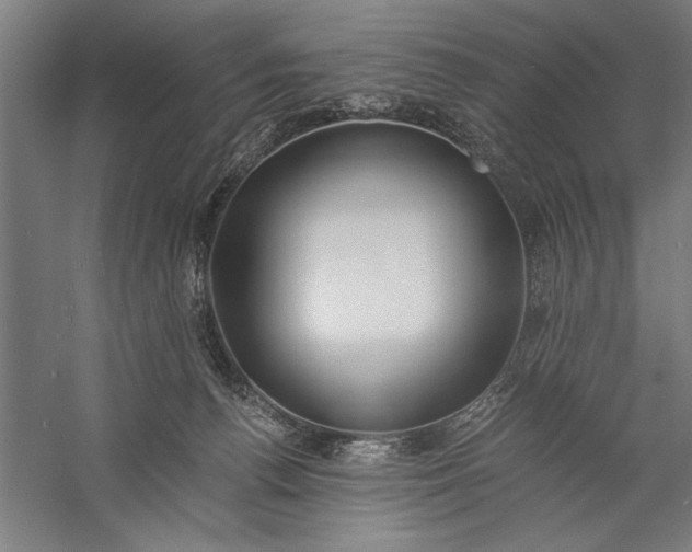 X0000056360176200509091632