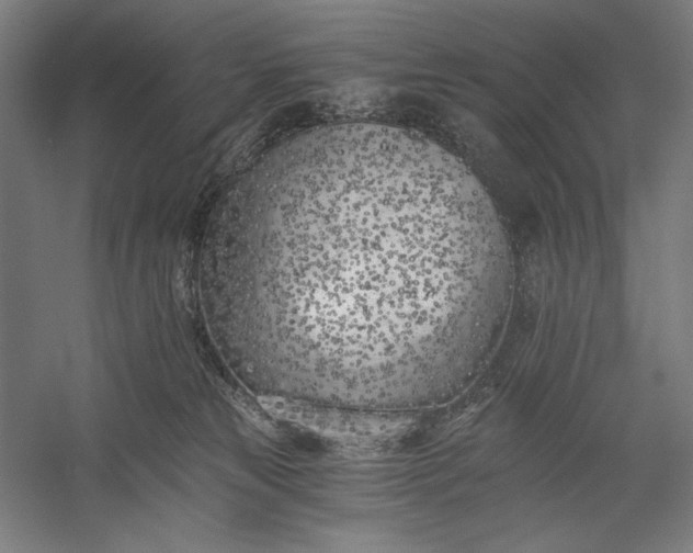 X0000056360181200509091632