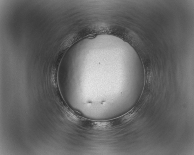 X0000056360185200509091632