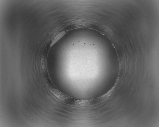 X0000056360186200509091632