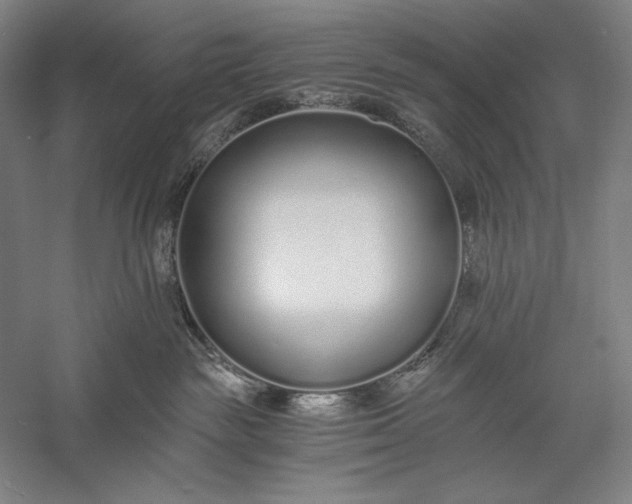 X0000056360189200509091632