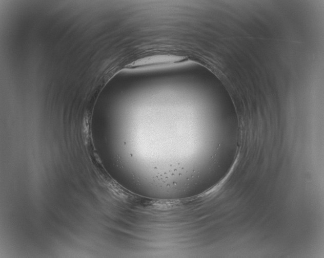 X0000056360190200509091632