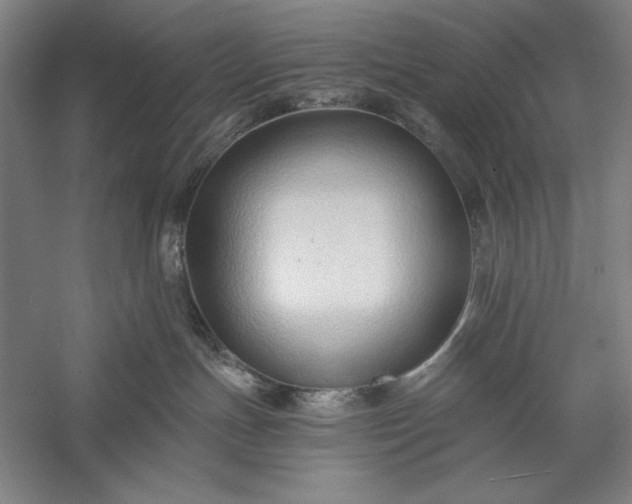 X0000056360191200509091632