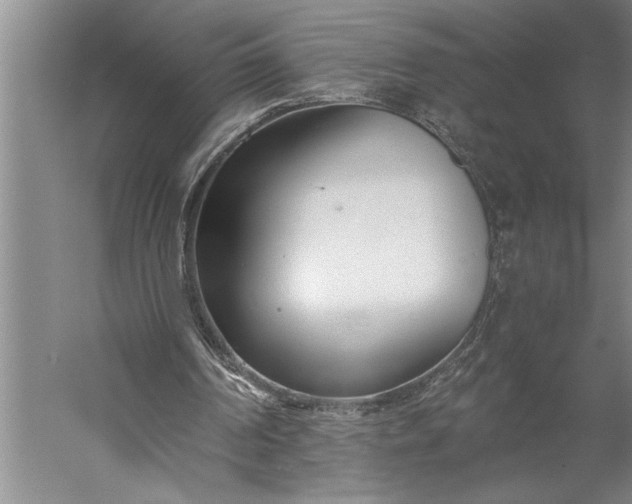 X0000056360194200509091631