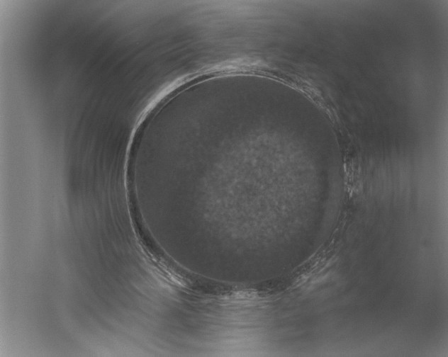 X0000056360196200509091631