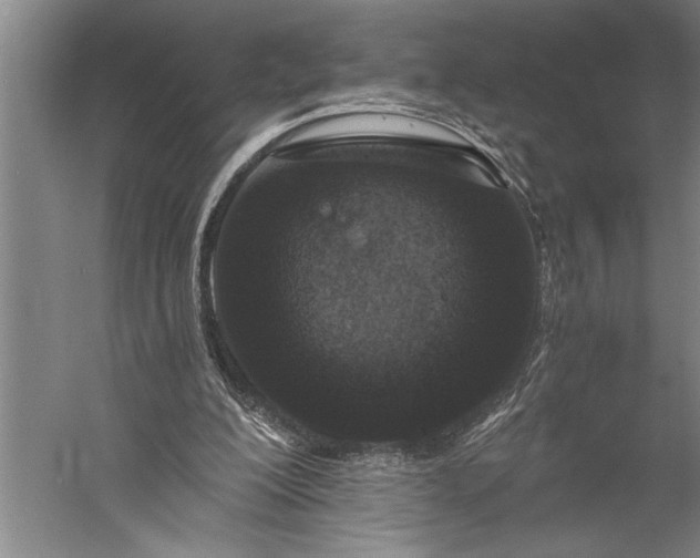 X0000056360200200509091631