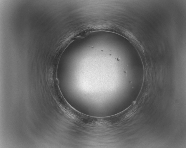 X0000056360201200509091631