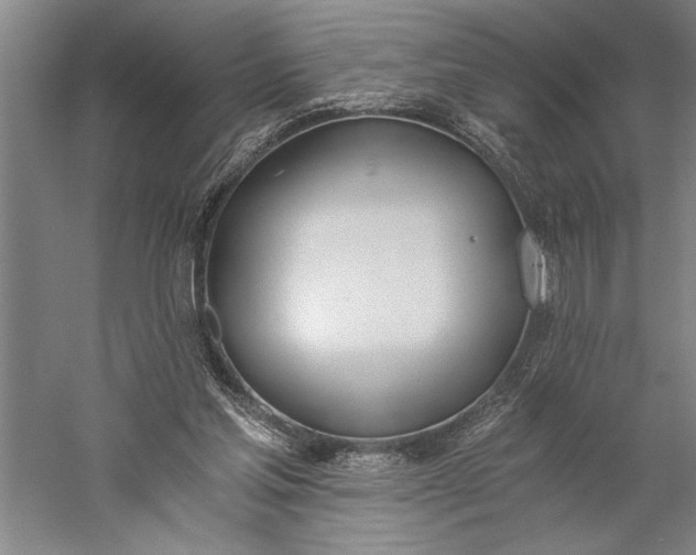 X0000056360205200509091631