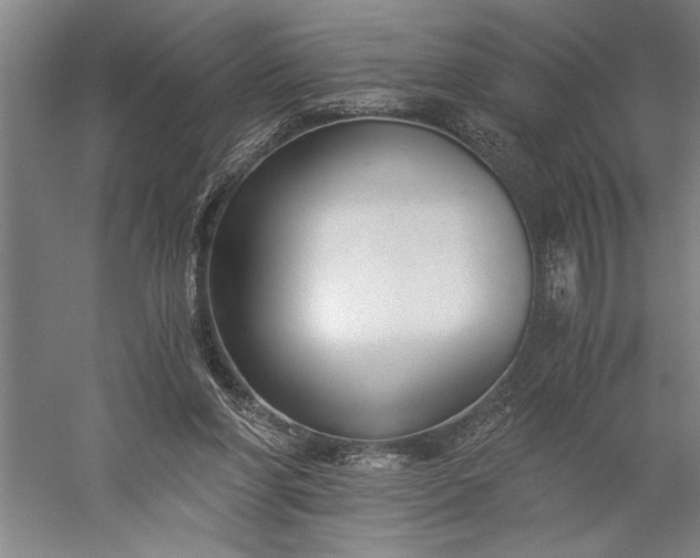 X0000056360206200509091631