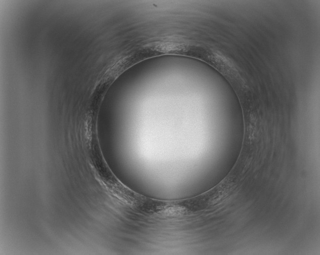 X0000056360210200509091631