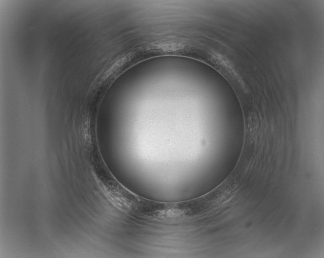 X0000056360212200509091631