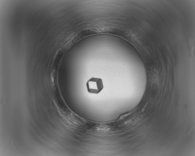 X0000056360214200509091631