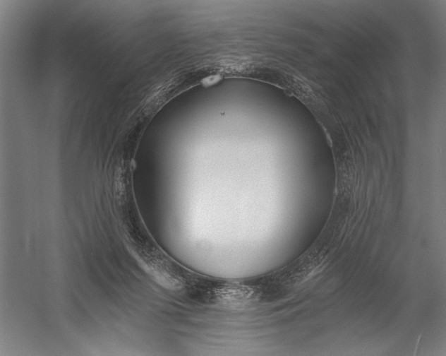 X0000056360215200509091631