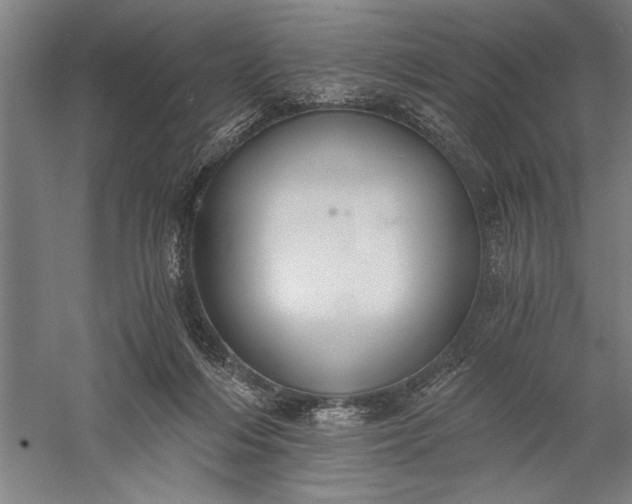 X0000056360216200509091631