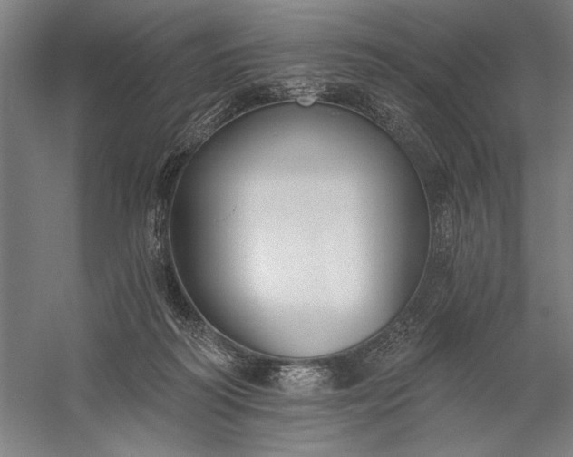 X0000056360218200509091631