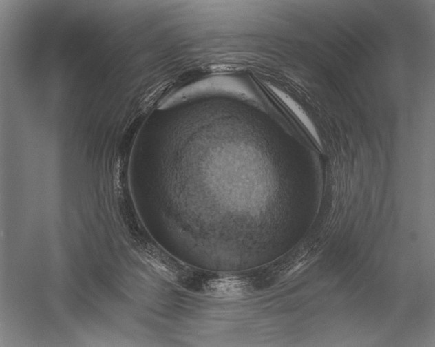 X0000056360219200509091631