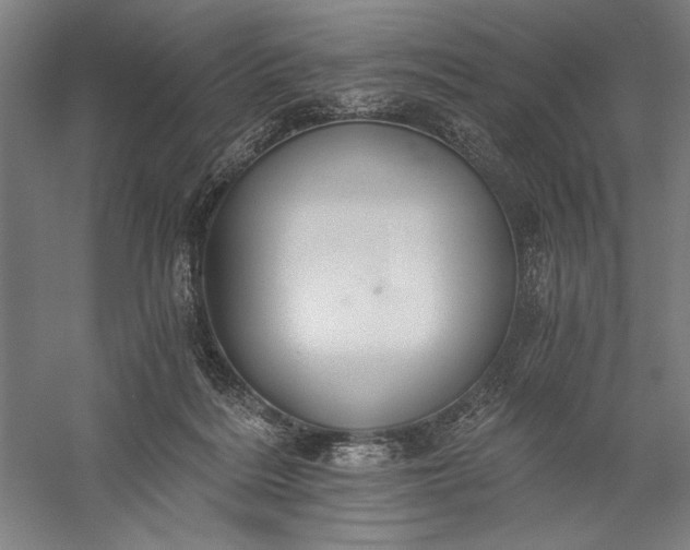 X0000056360220200509091631