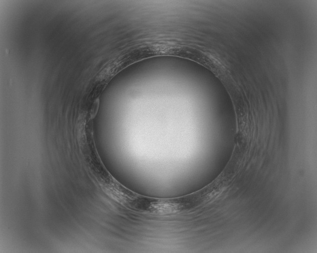 X0000056360221200509091631