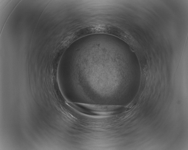 X0000056360223200509091631