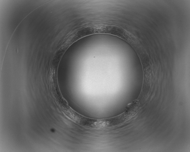 X0000056360225200509091631