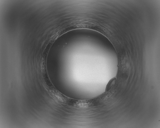 X0000056360228200509091631