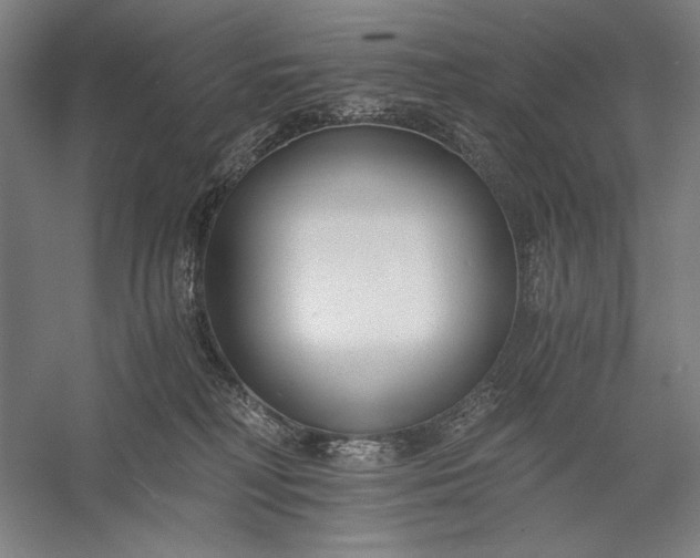 X0000056360230200509091631