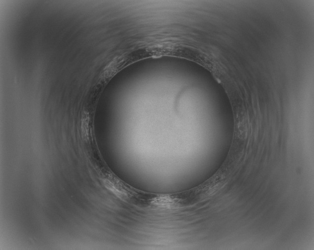 X0000056360231200509091631