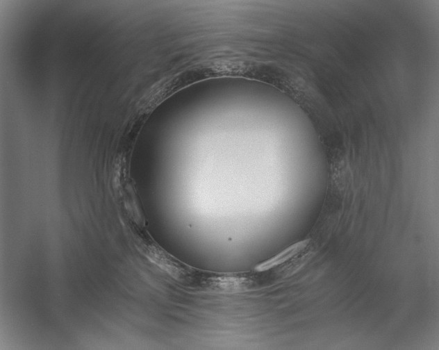 X0000056360233200509091631