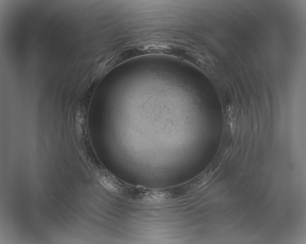 X0000056360235200509091631