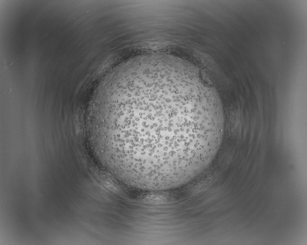 X0000056360236200509091631