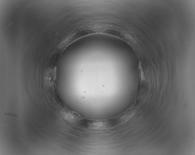 X0000056360237200509091631