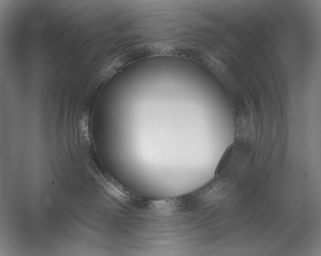 X0000056360238200509091631