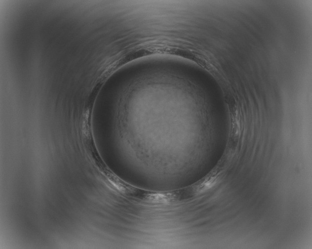 X0000056360239200509091631