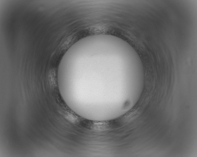 X0000056360240200509091631