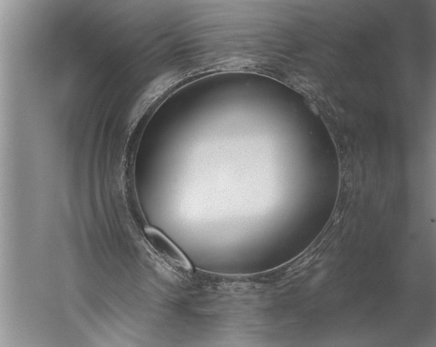 X0000056360242200509091630