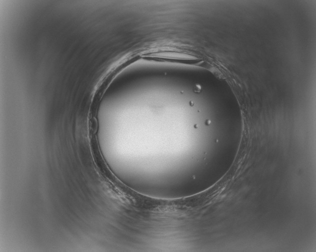 X0000056360244200509091630