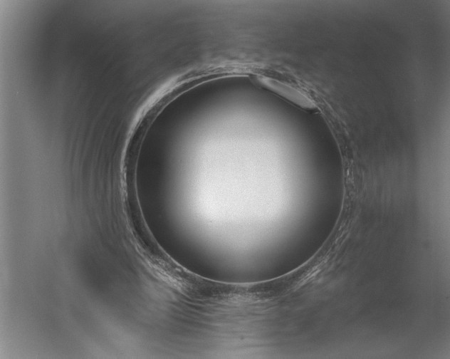 X0000056360246200509091630