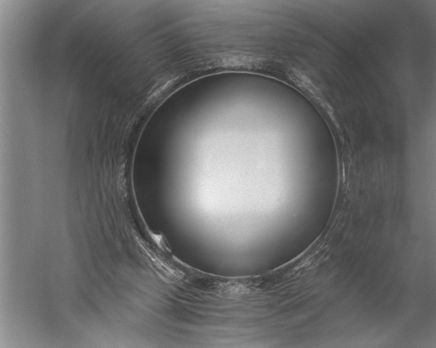 X0000056360249200509091630