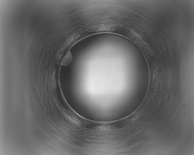 X0000056360250200509091630