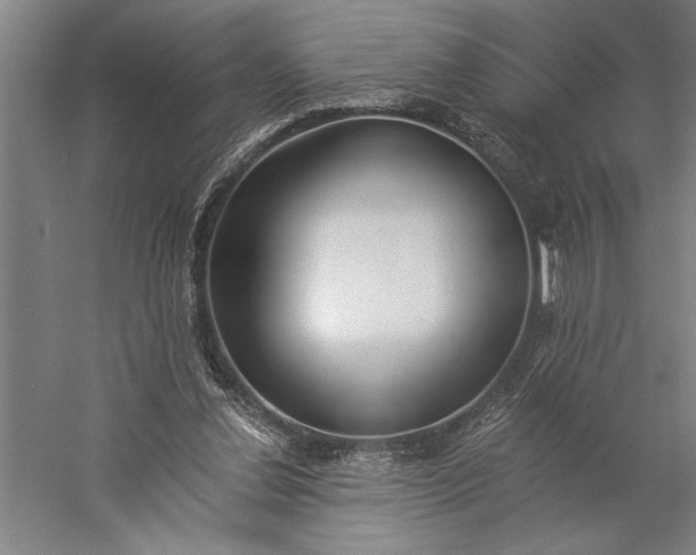 X0000056360252200509091630