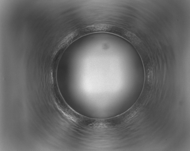 X0000056360254200509091630