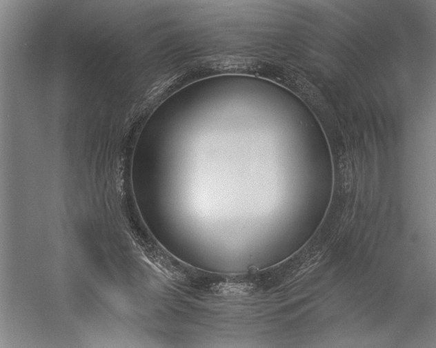 X0000056360255200509091630