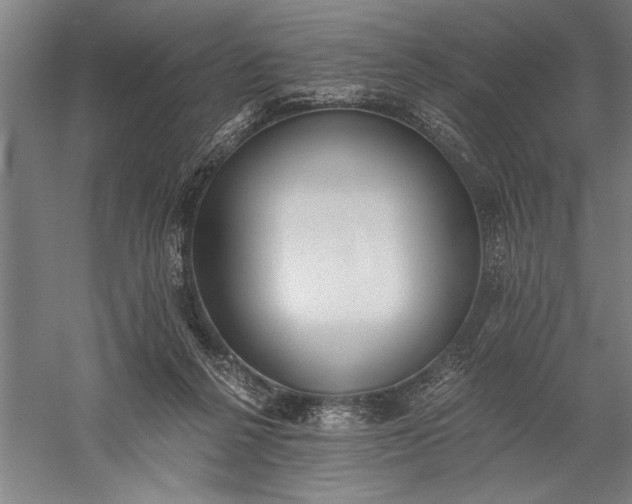 X0000056360264200509091630