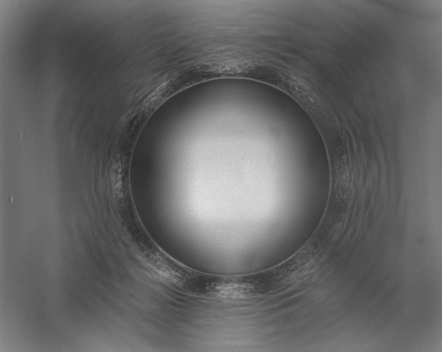 X0000056360268200509091630