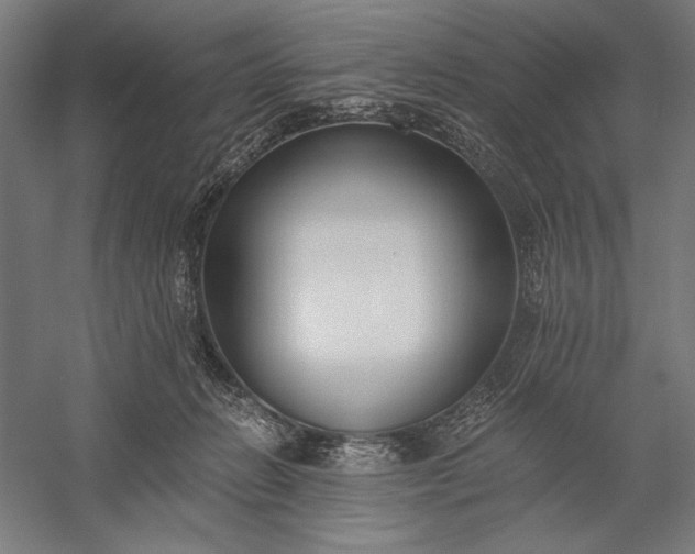 X0000056360270200509091630